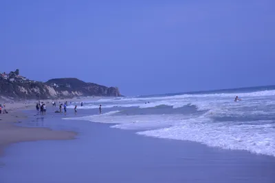 DSC_2117 (Large).JPG